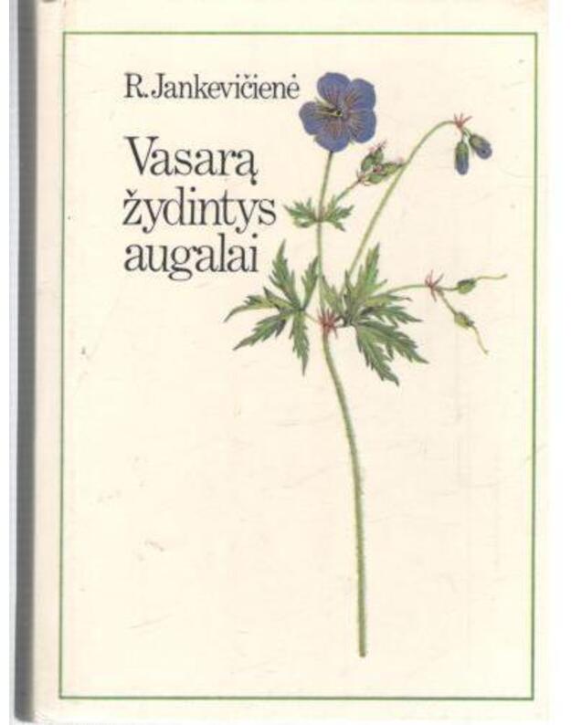 Vasarą žydintys augalai - Jankevičienė R.