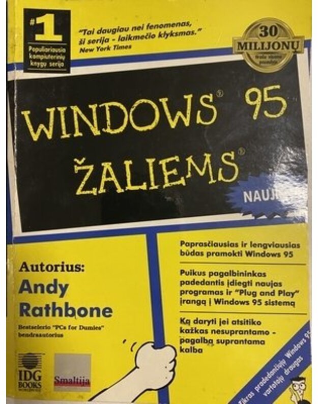 Windows 95 žaliems - Rathbone Andy