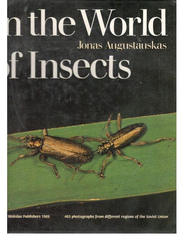 In the world of insects - Jonas Augustauskas