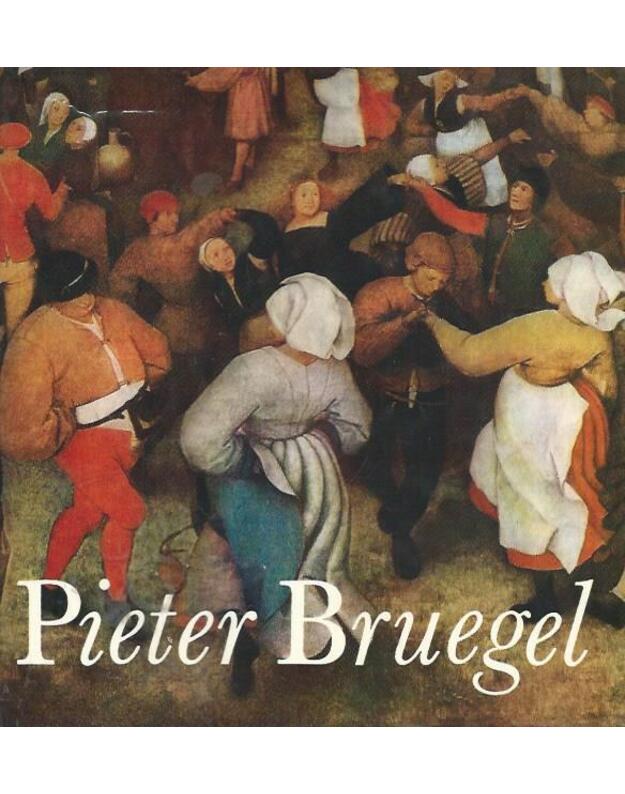 Pieter Bruegel - Neumann Jaromir