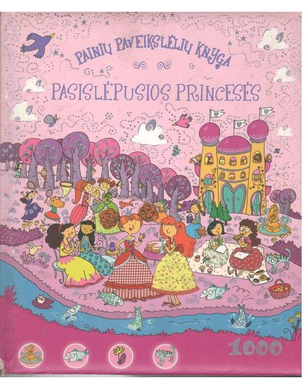 Pasislėpusios princesės - Painių paveikslėlių knyga
