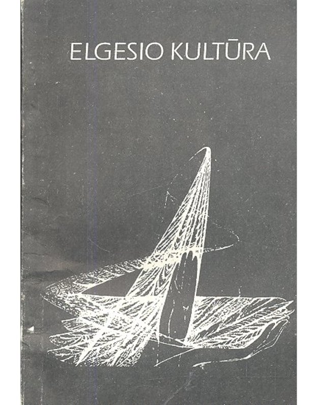 Elgesio kultūra: žodynėlis - Vincentas Žemaitis
