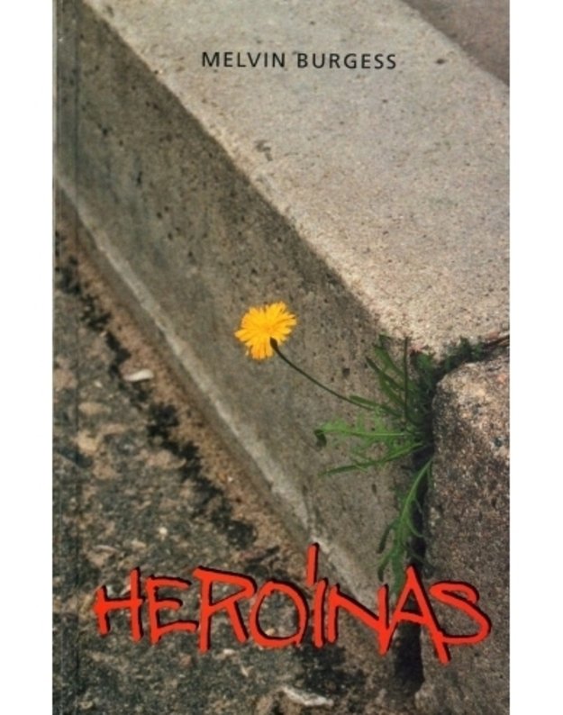 Heroinas. Romanas - Burgess Melvin
