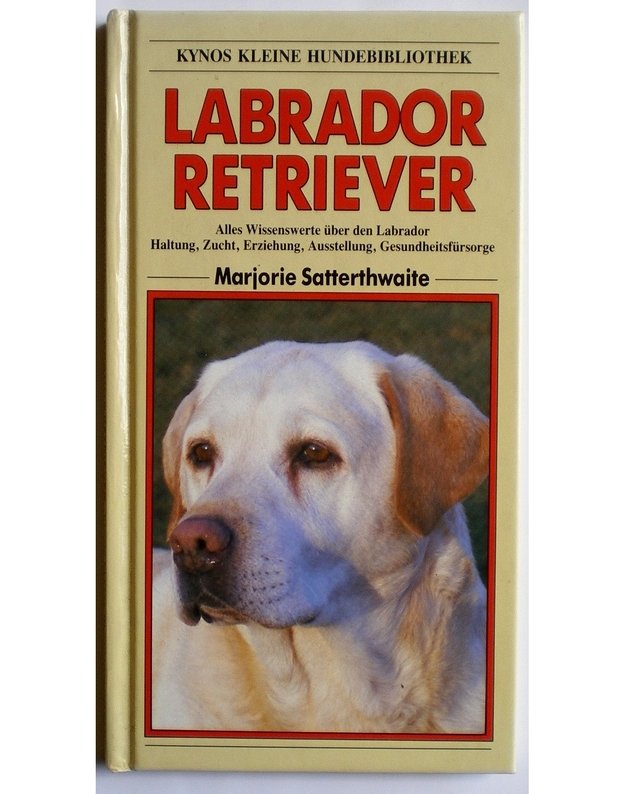 Labrador Retriever - Marjorie Satterthwaite