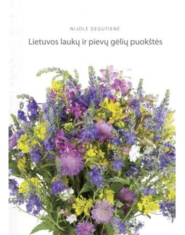 Lietuvos laukų ir pievų gėlių puokštės - Nijolė Degutienė