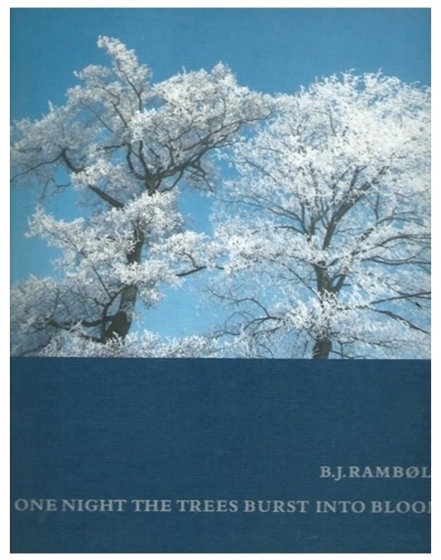 One night the trees burst into bloom - B.J. Ramboll